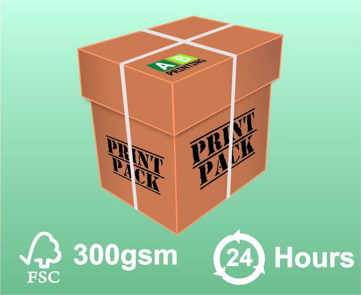  500 DL (210x99mm) 300gsm FSC®/PEFC® Flyers