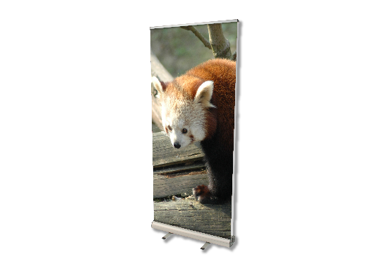 Double Sided Roll-Up Banner Dragonfly 2
