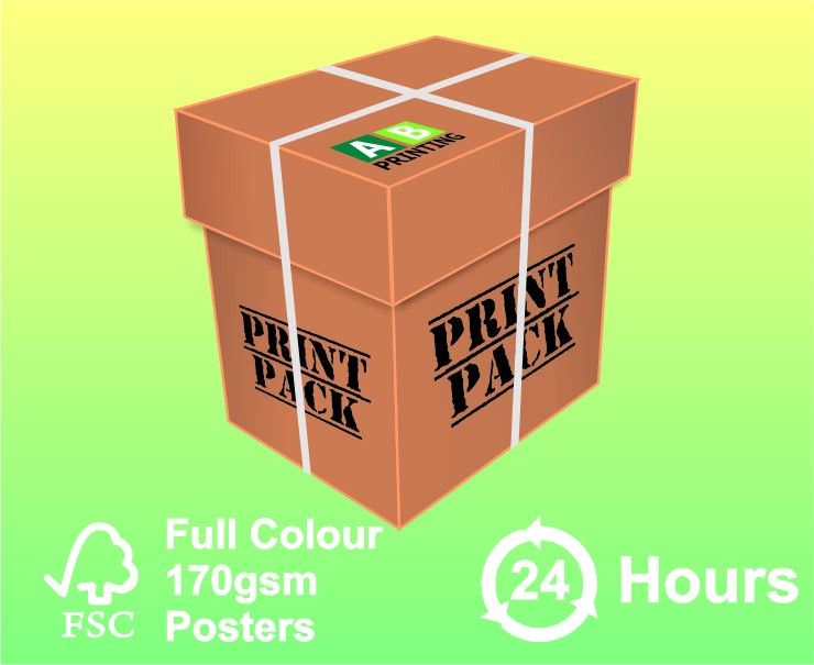 250 A4 (297x210mm) 170gsm Full Colour Posters